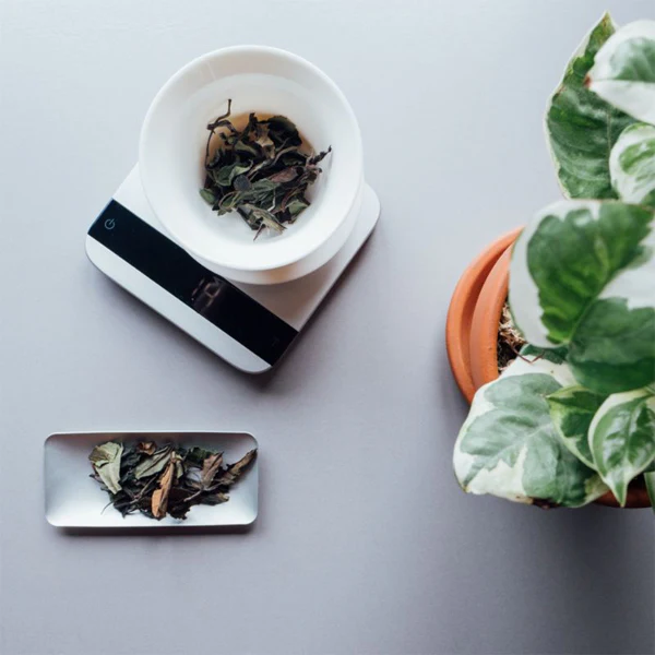 Acaia Tea Scoops - Image 4