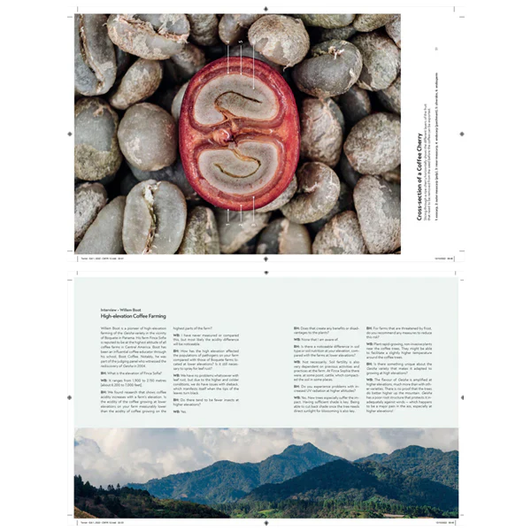 Barista Hustle Terroir - Image 3