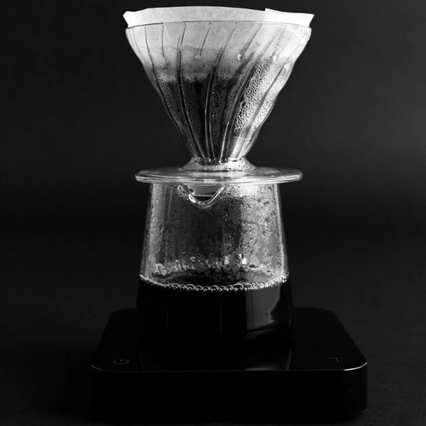 Sibarist B3 Hybrid Specialty Coffee Filter - Image 4