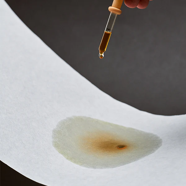 Sibarist Fast Specialty Coffee Filters - Image 3