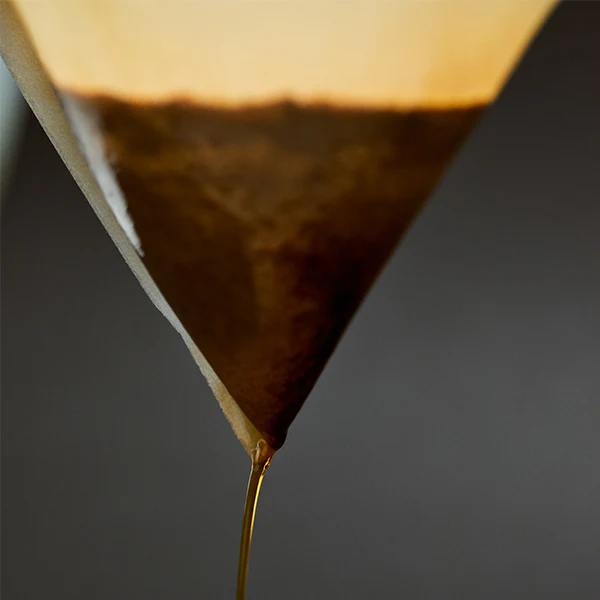 Sibarist Fast Specialty Coffee Filters - Image 5
